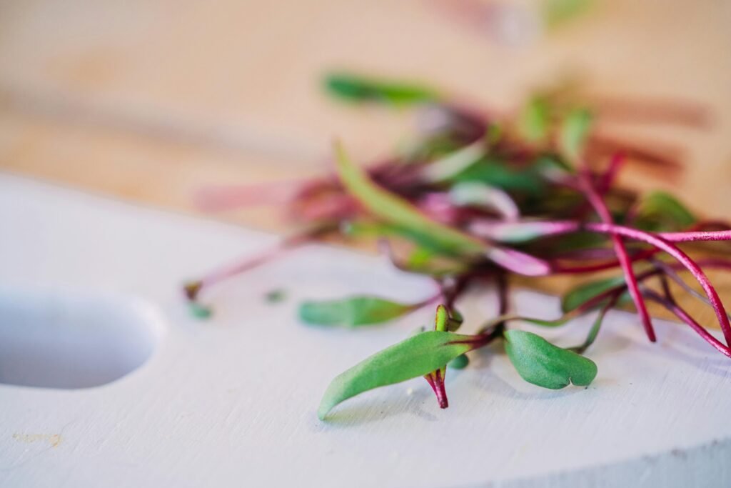 Ruby Beet Microgreens