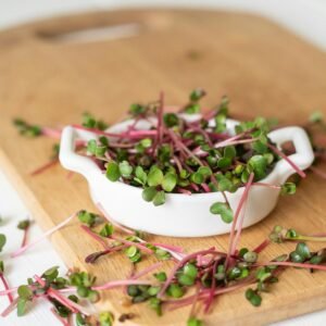 Radish Microgreens Nutrients