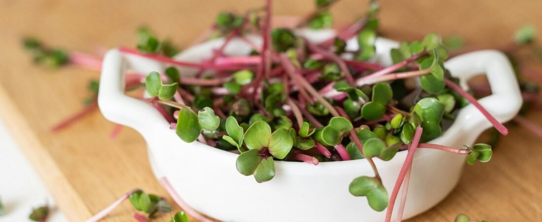 Radish Microgreens Nutrients: The Best Immunity Boost
